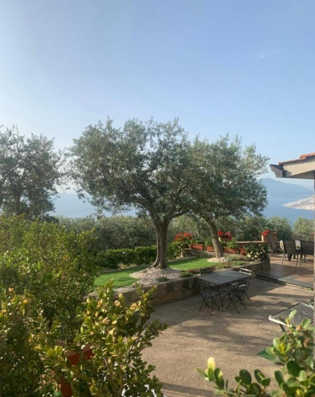 A B&b,relaxing Location With Seaview Bed and breakfast Península Sorrentina