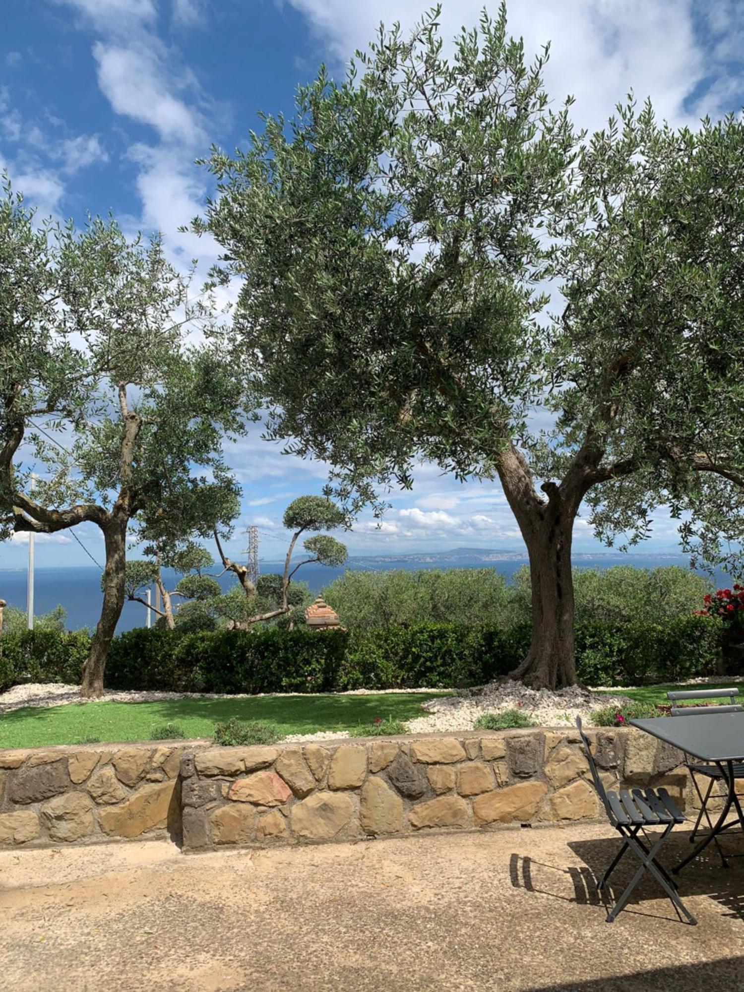 Bed & Breakfast A B&b,relaxing Location With Seaview *